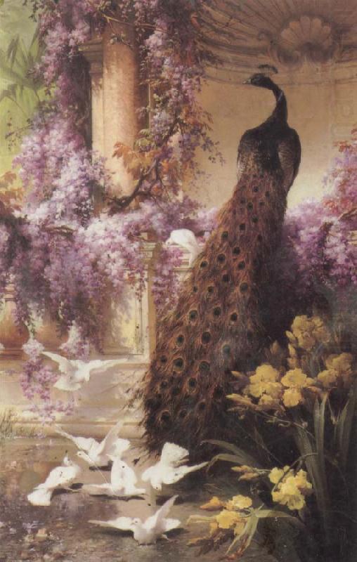 Eugene Bidau A Peacock and Doves in a Garden china oil painting image